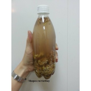 Địa liền, gừng gió ngâm chai 500ml