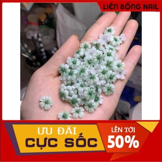 hoa bột nail- hoa sứ