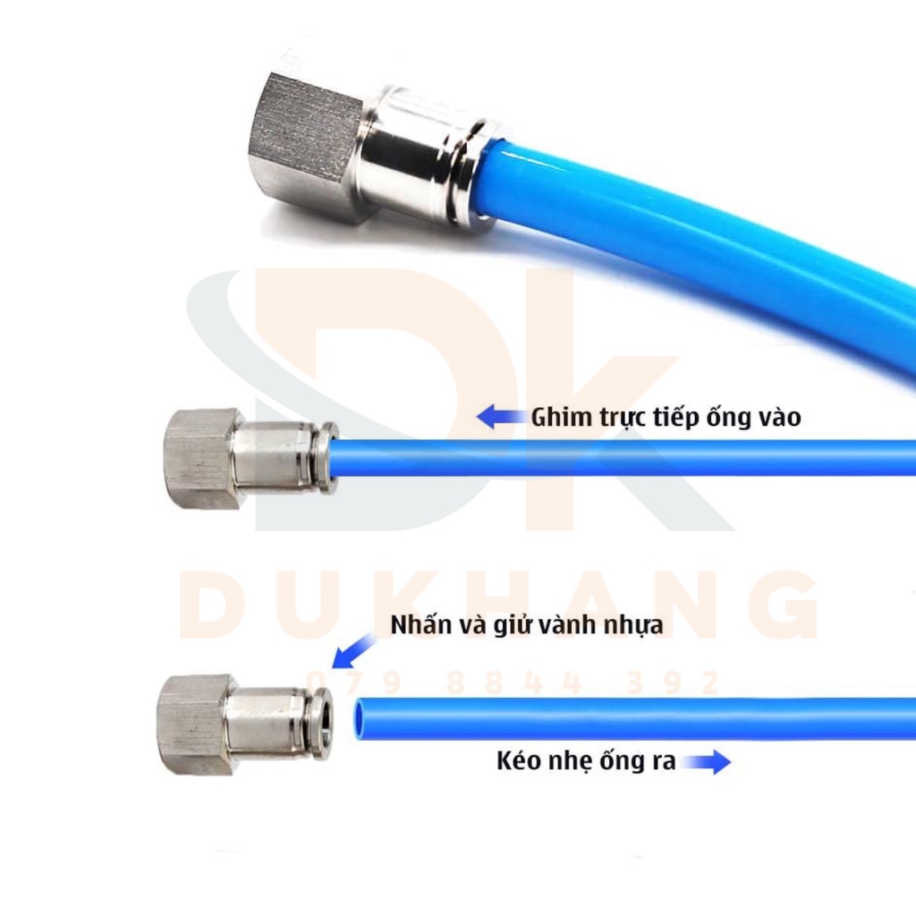Nối khí nén inox ren trong IPCF