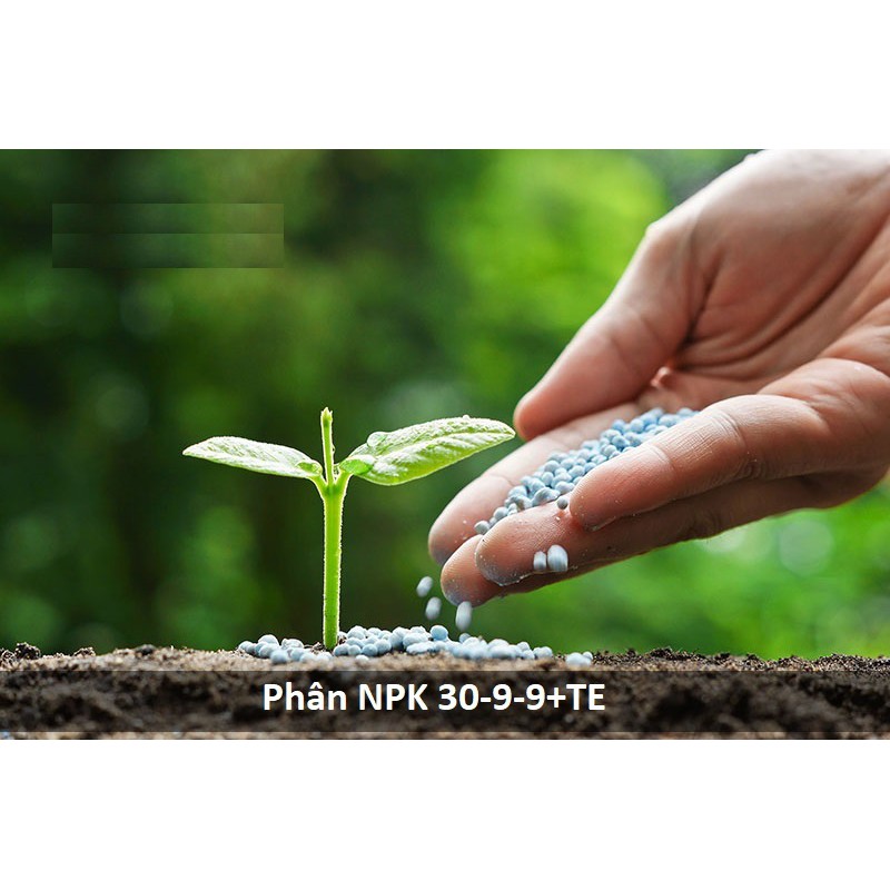 Phân Bón NPK MINRO 30-9-9 Giúp Cây PHÁT TRIỂN THÂN, CÀNH, LÁ, BỘ RỄ