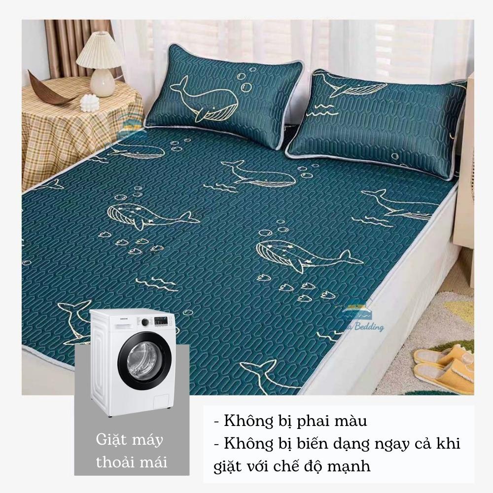 Chiếu điều hòa cao su 2D tencel latex nhập khẩu, chiếu cao su non tản nhiệt thoáng khí - Otama Bedding