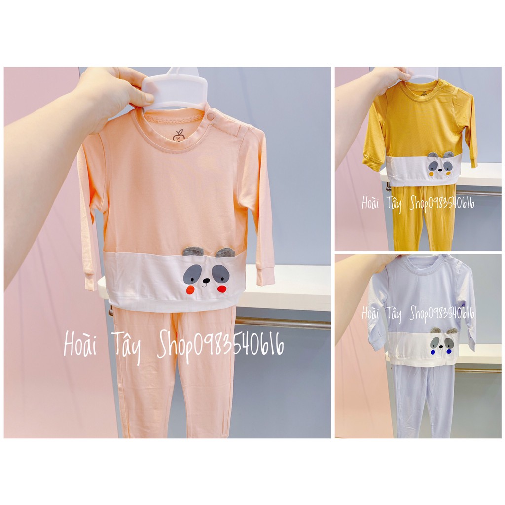 BỘ DÀI GẤU TRÚC