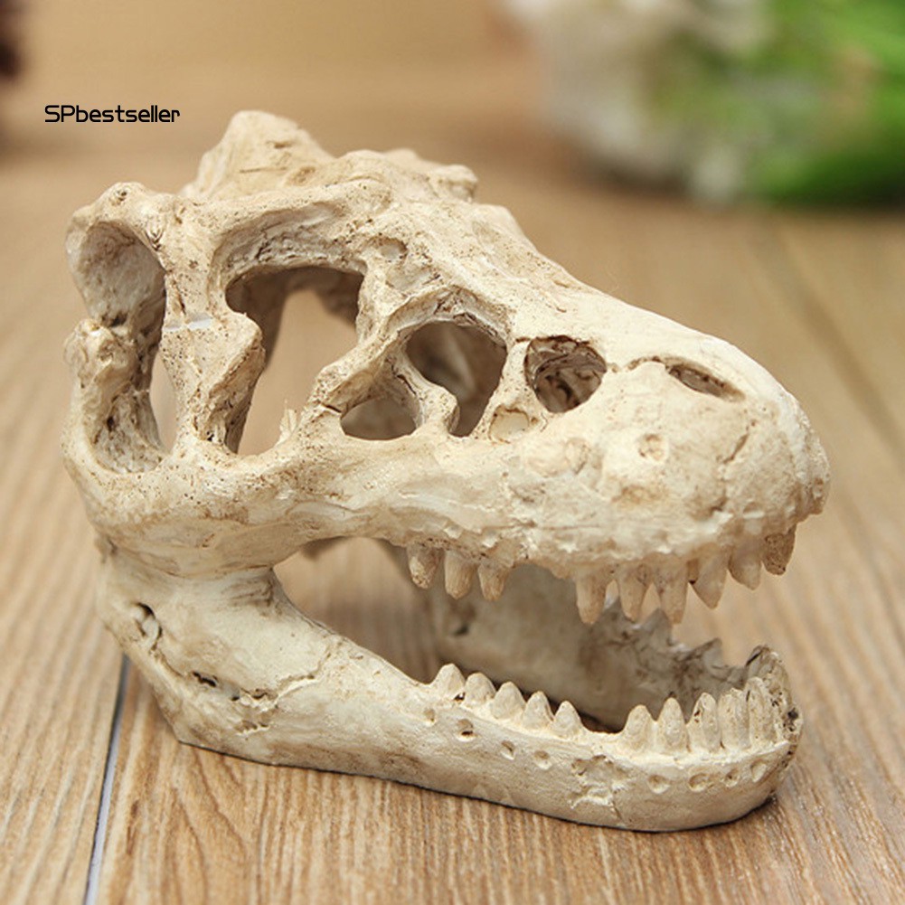 Mô hình hàng khủng long bằng nhựa trang trí bể cá