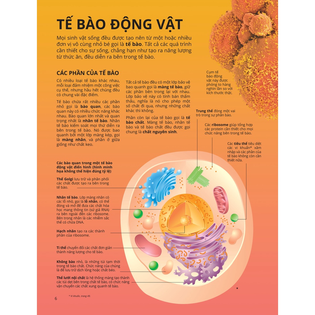 Sách - Science Encyclopedia - Bách Khoa Thư Về Khoa Học - Thế Giới Động Vật