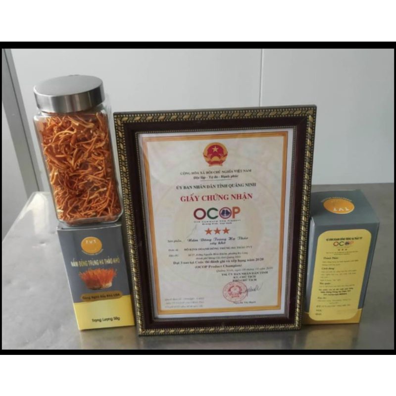 {Chính hãng}Đông trùng hạ thảo sấy khô, lọ 50g, hàng Việt Nam
