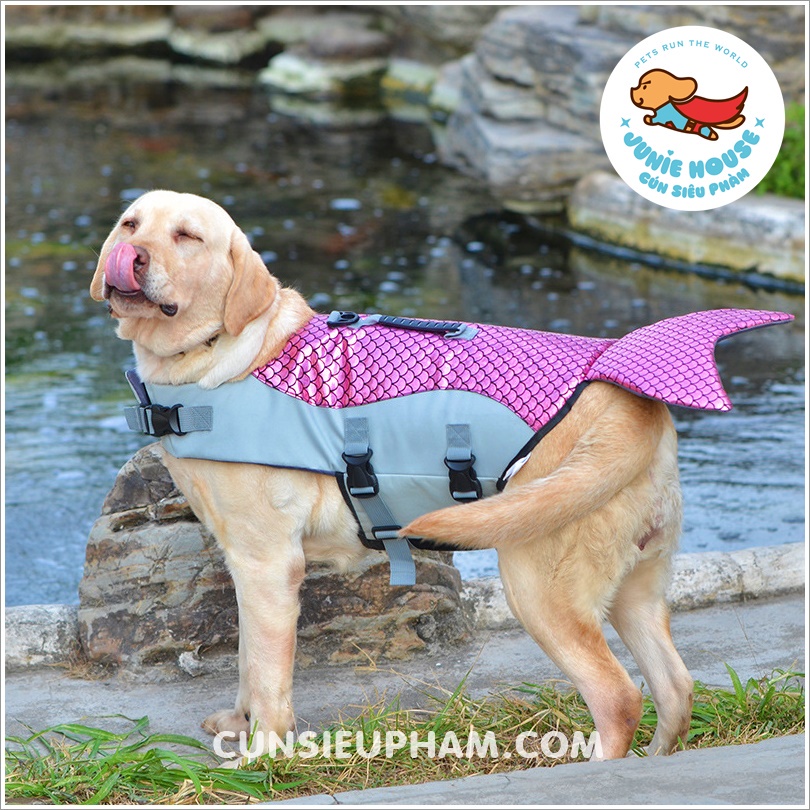 Áo phao đi bơi chuyên dụng cho chó mèo