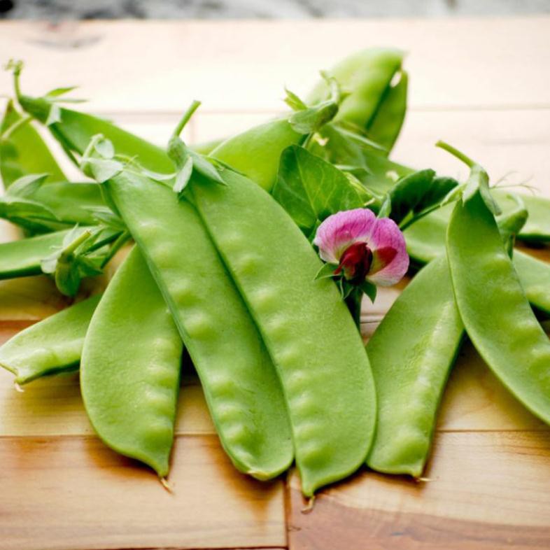 [Big Sale] Hạt giống đậu Hà Lan xào - 8gram
