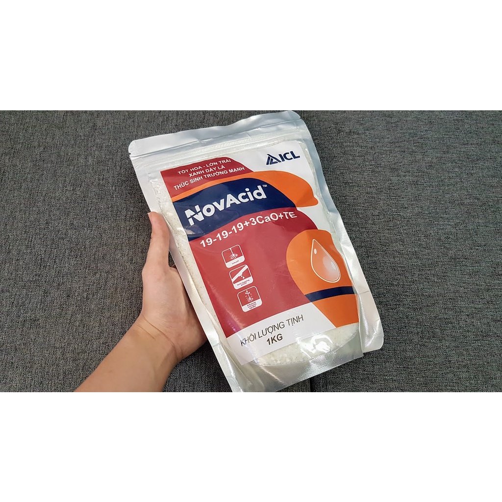 Phân Bón Hòa Tan Israel NovAcid 19-19-19+3CaO+TE.