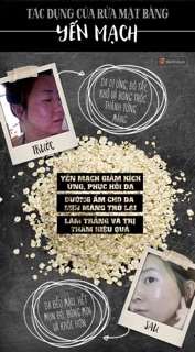 Yến mạch Mĩ dạng bột và hạt nguyên chất 