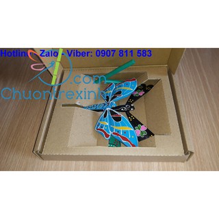 HCT6 Combo 2 hộp quà chuồn tre