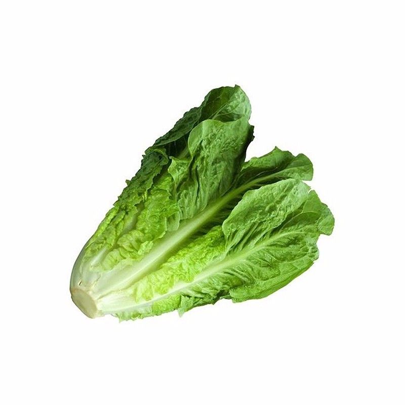 HẠT GIỐNG XÀ LÁCH CHỊU NHIỆT ROMAINE GEM