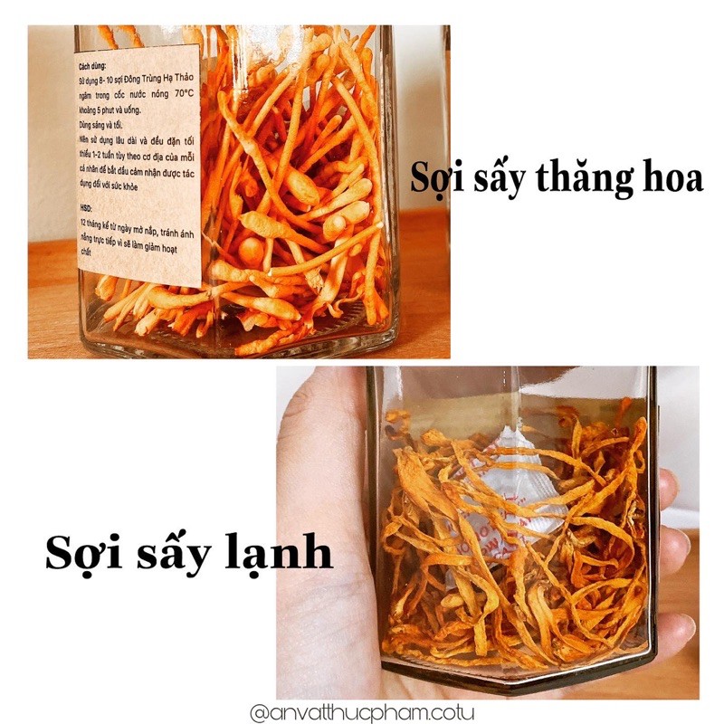 Đông Trùng Hạ Thảo ngâm Mật Ong rừng | BigBuy360 - bigbuy360.vn