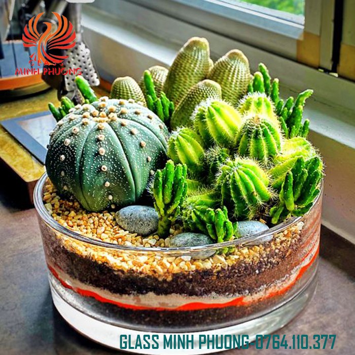 Bình bông thủy tinh trang trí dạng trụ, hồ cá thủy tinh mini D20cmxH10cm