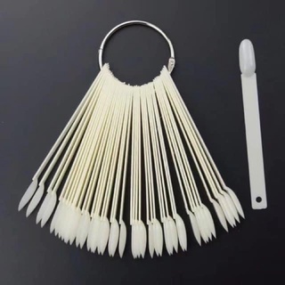 MÓNG QUE BẦU TẬP HỌC - VẼ SƠN MẪU
