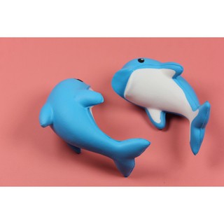 SquiShy cá heo