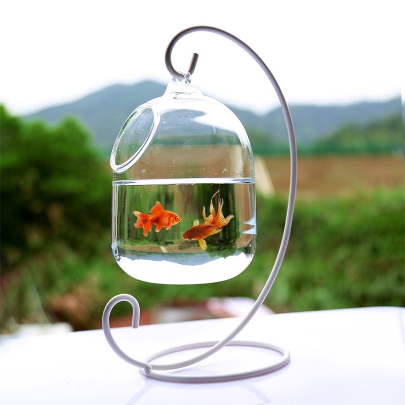 combo giá treo và chậu lọ thuỷ tinh trồng cây nuôi cá siêu cute giá hạt dẻ