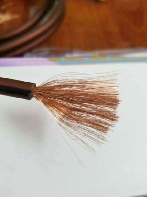 Dây Loa CANARE chính hãng JAPAN.