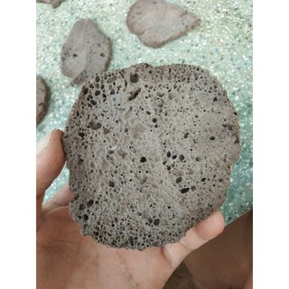 Giá thể bucep- Giá thể nham thạch.