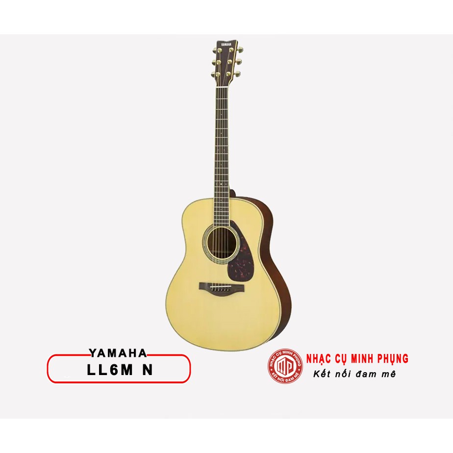 Đàn Guitar Acoustic Yamaha LL6M