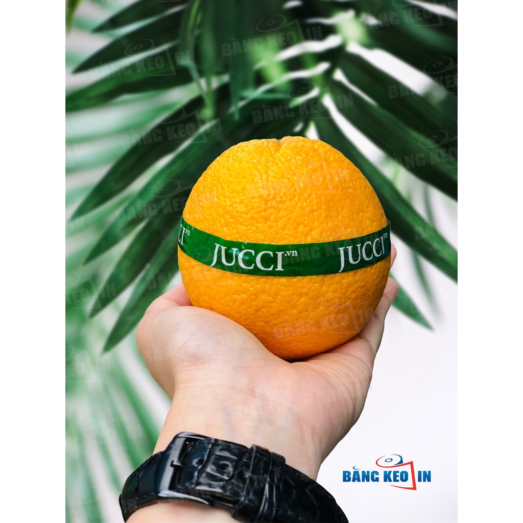 Băng keo in dán nắp ly, nắp hộp 12mm, 15mm