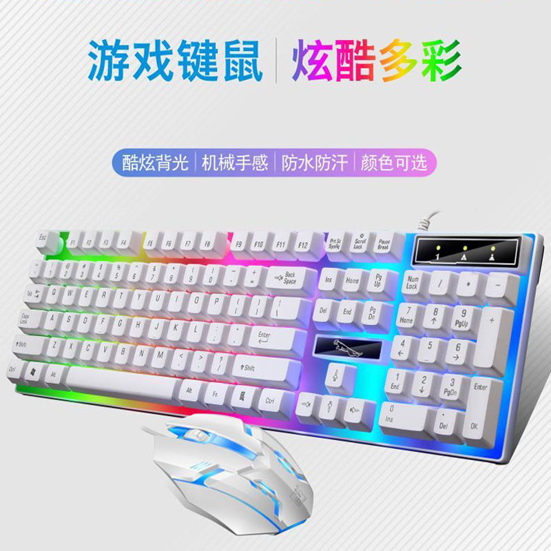 Bộ Chuột Và Đèn Chiếu Sáng Họa Tiết Da Báo Độc Đáo | BigBuy360 - bigbuy360.vn