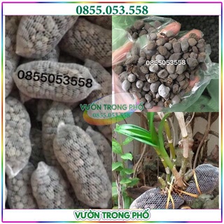 Phân dê sạch trồng lan đã qua sử lý mùi và nấm mốc túi lưới KT 10cm -15cm