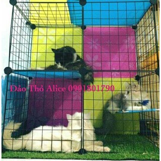 CHUỒNG GHÉP CHO MÈO CƯNG NHỎ