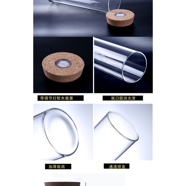 Lọ Hoa Thủy Tinh Trong Suốt Có Nút Bần Và Đèn LED Phát Sáng Độc Đáo