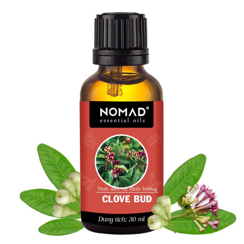 Tinh Dầu Thiên Nhiên Đinh Hương Nomad Clove Bud Essential Oil