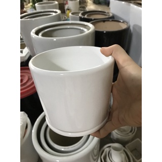 chậu sứ trắng có đĩa