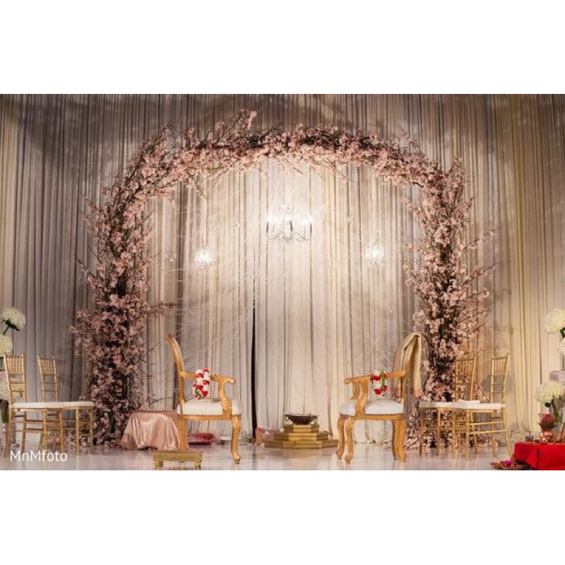 Cây khô nhánh cây khô trang trí nhánh cây trắng nhập khẩu