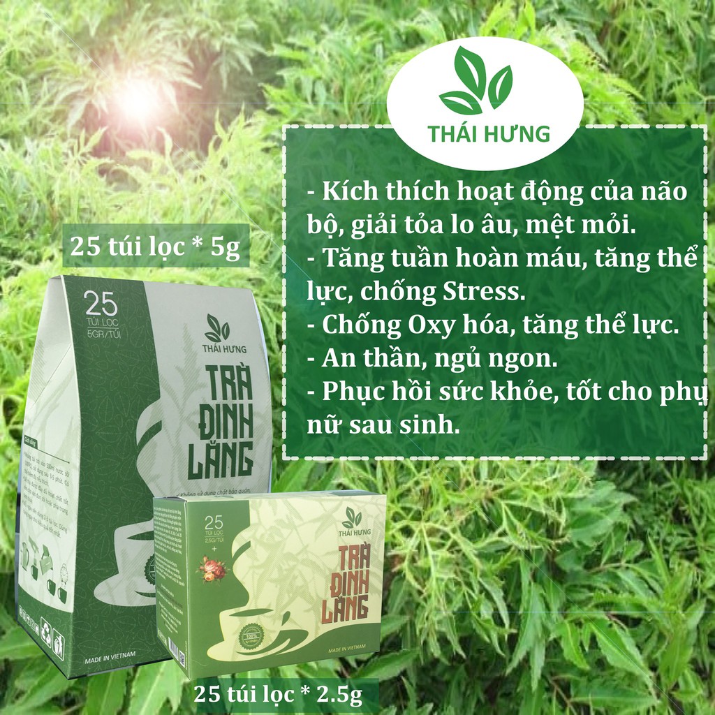 [CHÍNH HÃNG] Trà Đinh Lăng Thái Hưng (trà thảo dược,100% tự nhiên, dạng túi)- tăng tuần hoàn não, giảm đau đầu, ngủ ngon | BigBuy360 - bigbuy360.vn