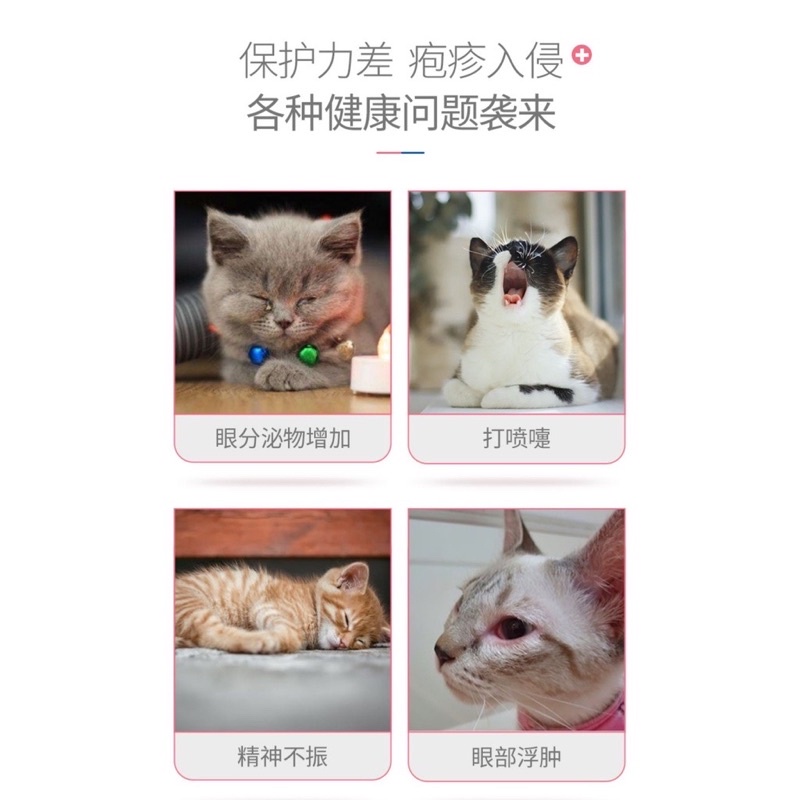 Inkat lysine giúp tăng cường miễn dịch và hỗ trợ hô hấp cho mèo INKAT IMMUNE SUPPORT  xuất xứ Mỹ_meobeo