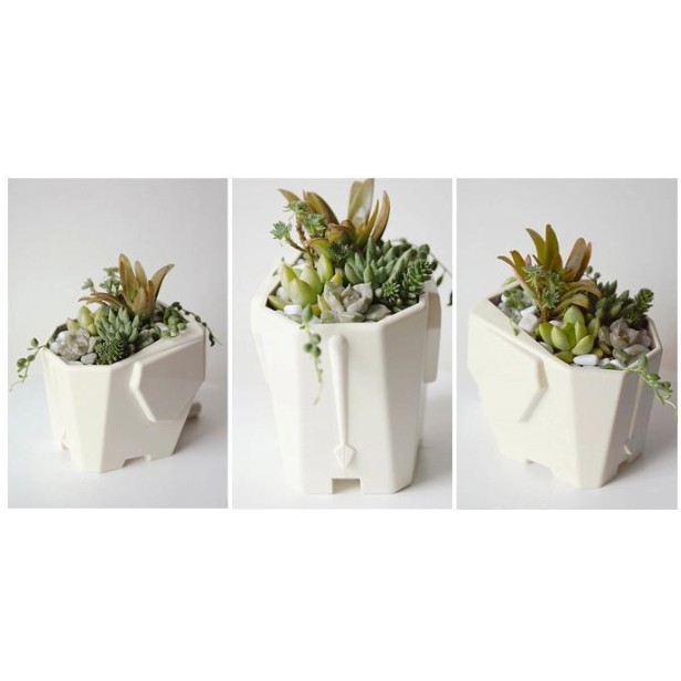 Chú voi trồng cây để bàn cắm bút, đũa có thoát nước dễ thương