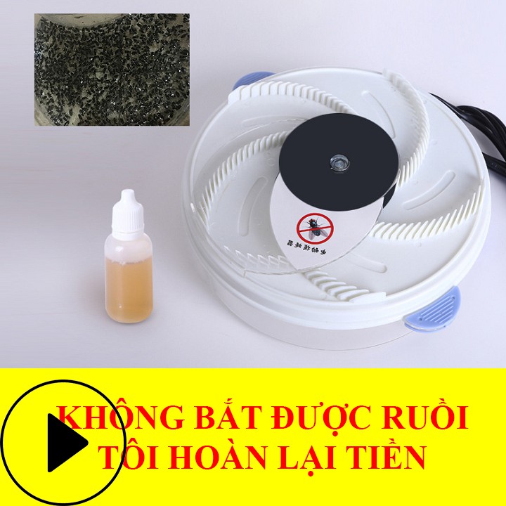 Máy Bắt Ruồi