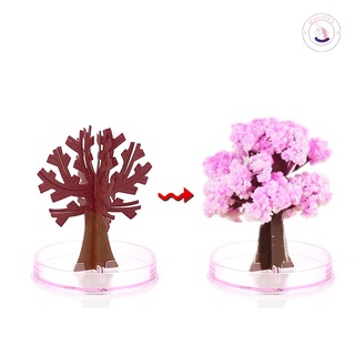 Cây giấy nở hoa pha lê kì ảo