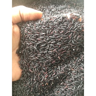 Gạo Lức tím thảo dược - Daklak