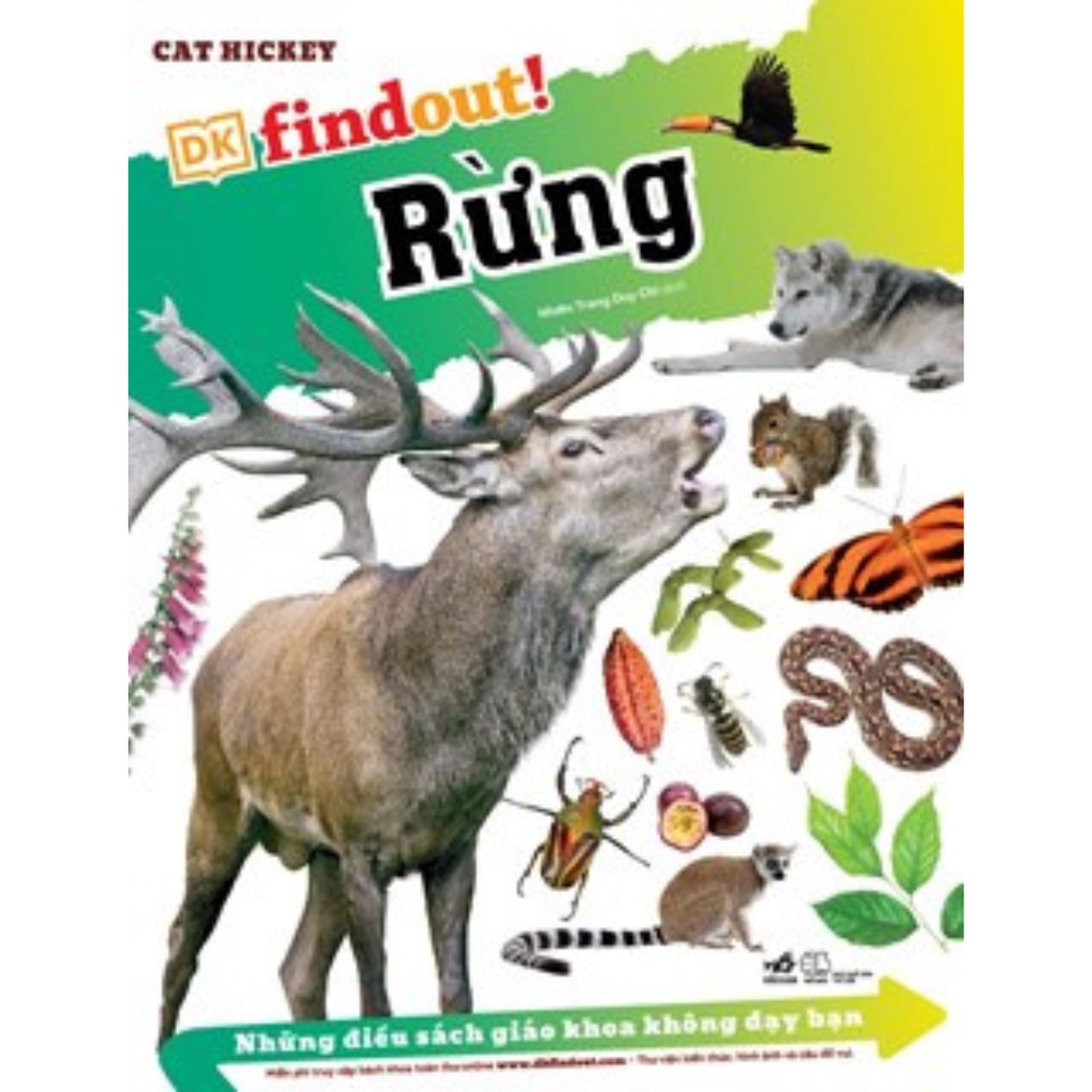 Sách Những Điều Sách Giáo Khoa Không Dạy Bạn - Rừng nn
