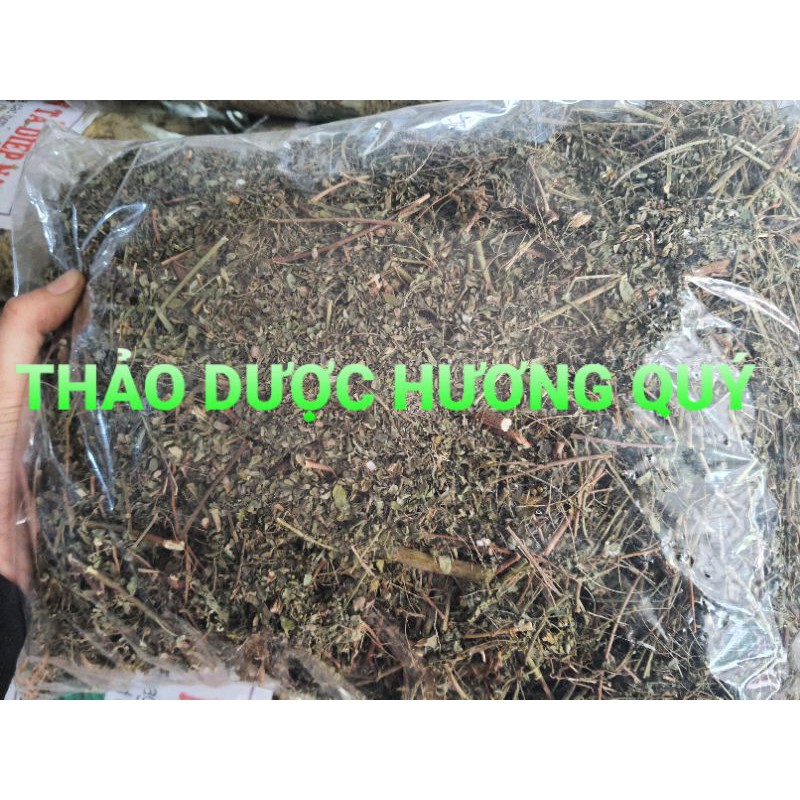 1 Kg Chó Đẻ Răng Cưa (Diệp Hạ Châu) Cam Kết Khô, Sạch, Mới