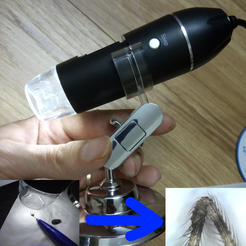 Máy soi da soi tóc mini spa thẫm mỹ viện phóng đại 1600X kết nối điện thoại và máy tính Digital Microscope