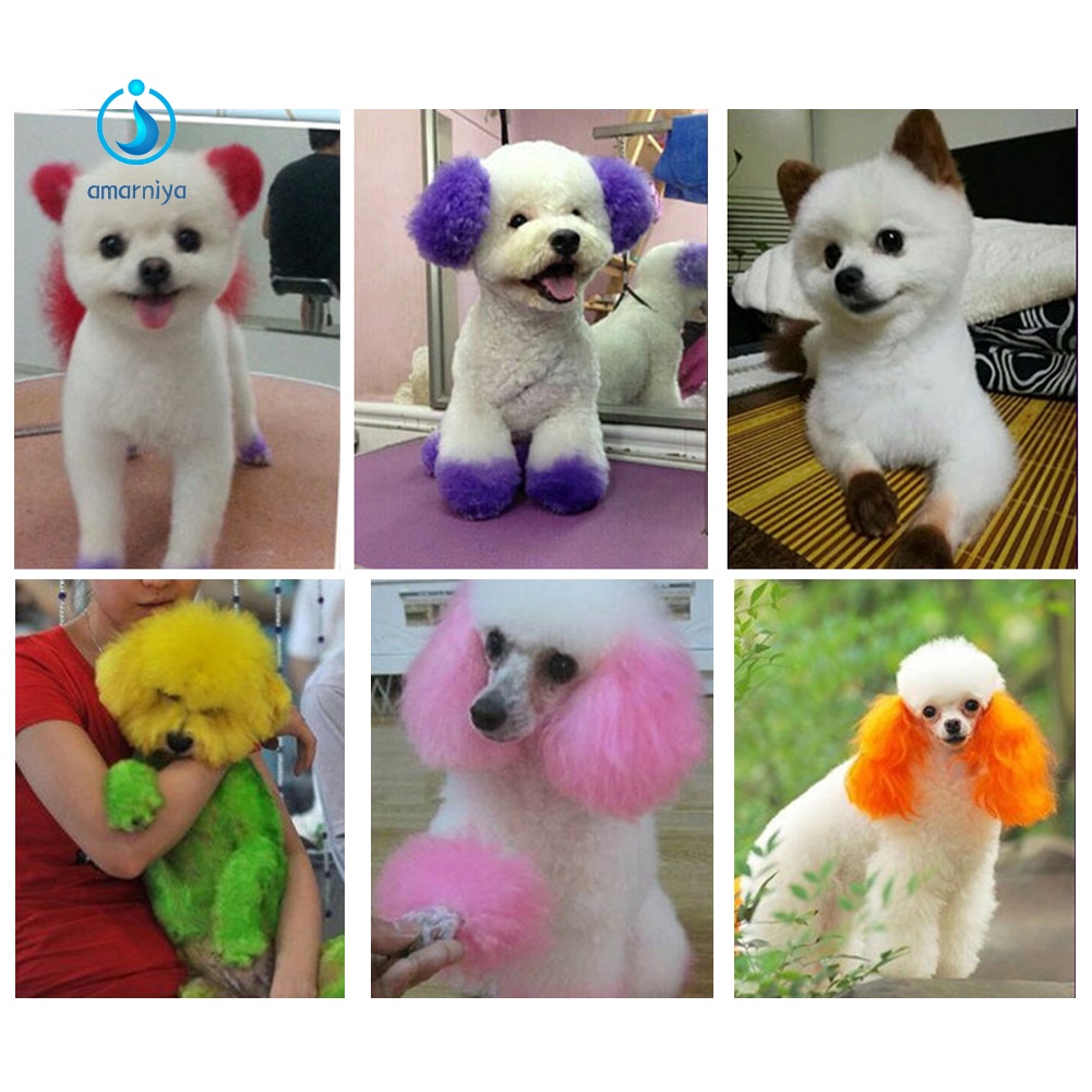 Kem nhuộm lông chuyên nghiệp không gây dị ứng cho thú cưng 100ml