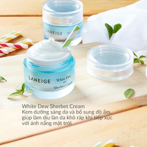 Kem dưỡng trắng và dưỡng ẩm Laneige White Dew Sherbet Cream 50ml