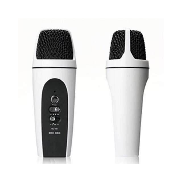 Micro karaoke tích hợp echo
