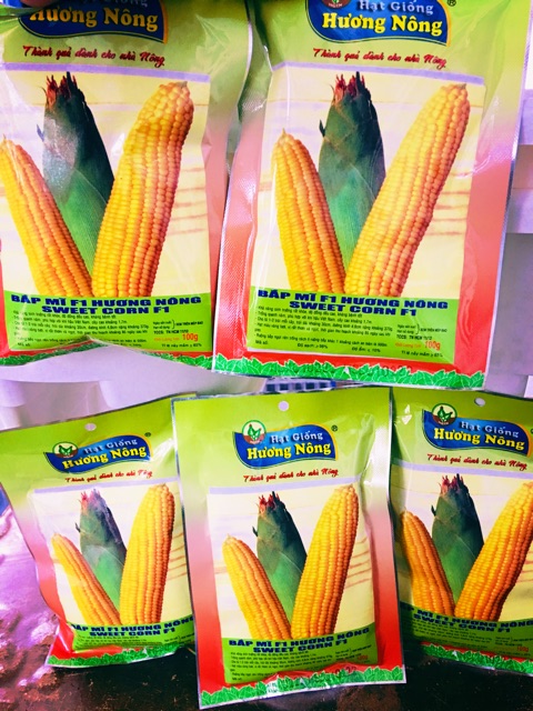 Hạt Giống Bắp Mỹ Ngọt Lai F1- siêu nẫy mầm