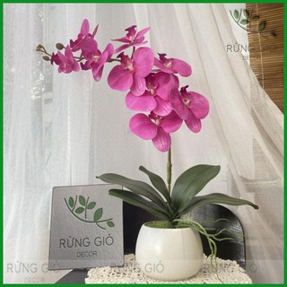 Set Bình Hoa Lan Hồ Điệp (gồm cả chậu sứ + 1 cành hoa 9 bông to), Lan cao su cao cấp mã Sét 10