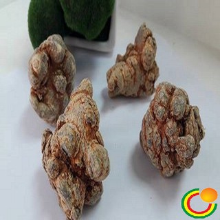 Tam thất bắc loại 8 củ 200g