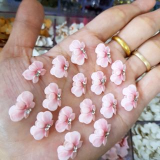 Hoa bột, hoa cúc( gạt ảnh chọn màu)