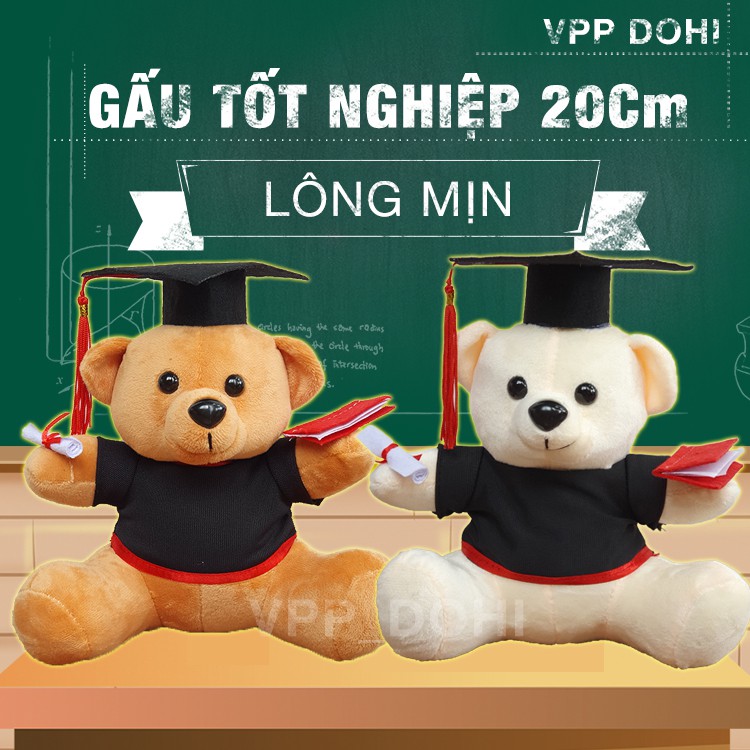 Gấu bông tốt nghiệp 20cm lông trơn giá sỉ, tặng giấy gói quà