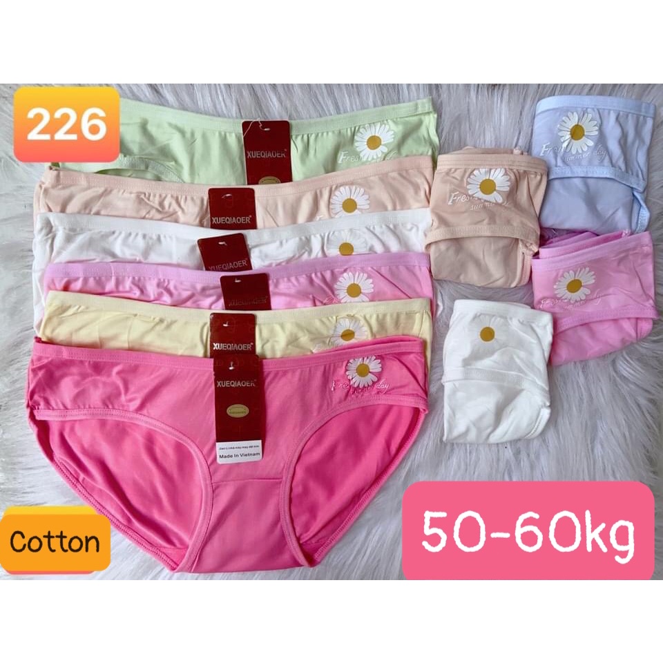 Combo 10 quần lót nữ cotton nữ hoa cúc, size 50-60kg (No.226)