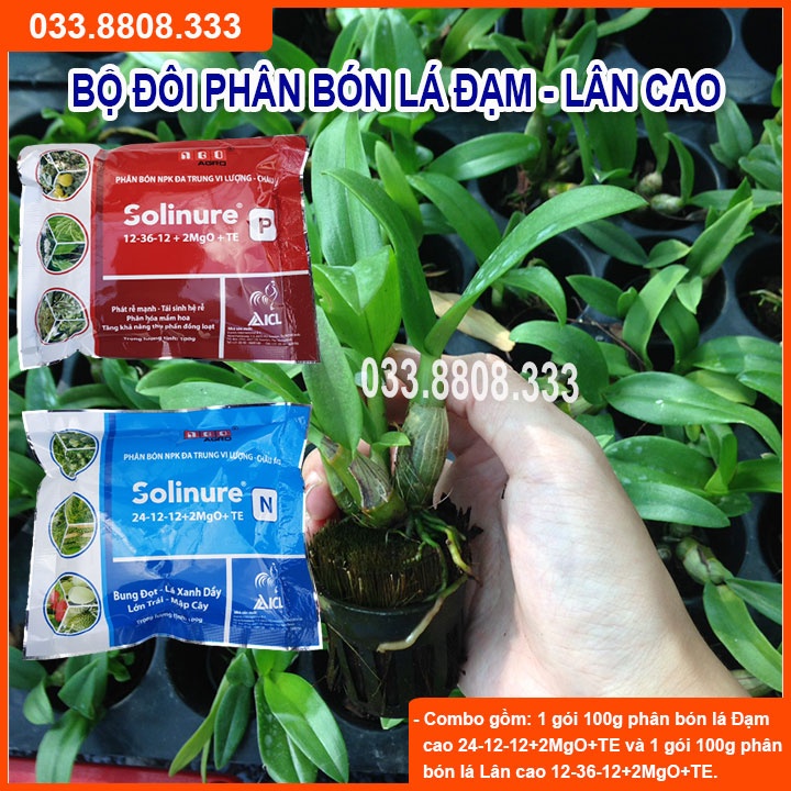 BỘ PHÂN BÓN DÙNG CHO CÂY CON SOLINURE P&amp;N giúp cây phát triển nhanh